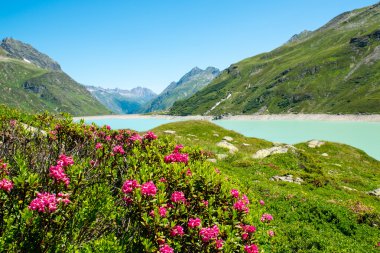 Silvretta