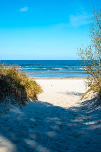 Dune на узбережжі Балтійського моря — стокове фото