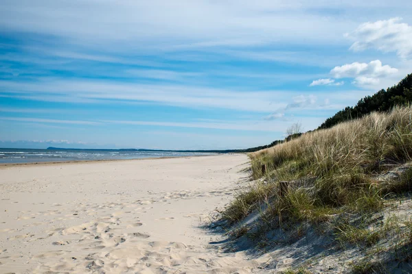 Dune на узбережжі Балтійського моря Стокова Картинка