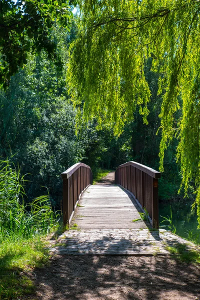 Маленький красивый мост — стоковое фото