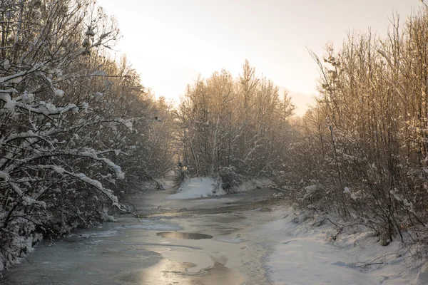 Inverno — Foto Stock