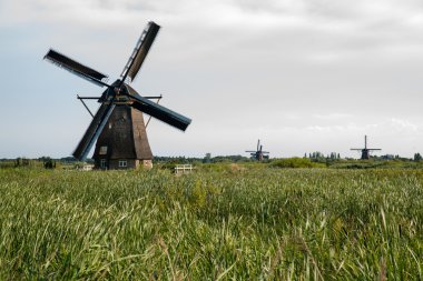 Hollanda tarihi yel değirmeni