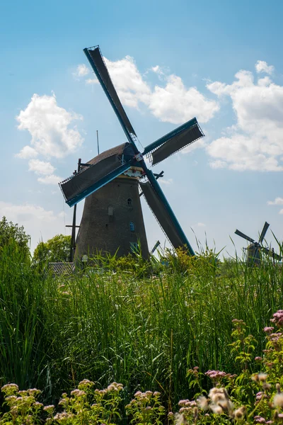 Historic windmill in the Netherlands — Stock Photo, Image