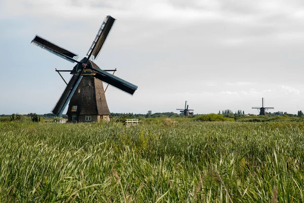 Historische Windmühle in den Niederlanden lizenzfreie Stockfotos