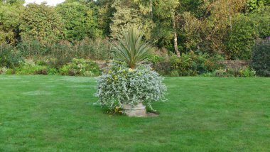 Çimlerle çevrili, merkez taştan bir vazodan çağlayan bitkiler.