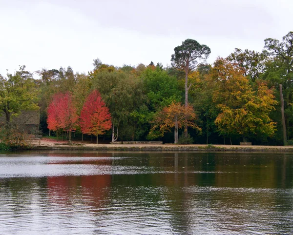 Beau feuillage d'automne comprenant deux arbres rouges de l'autre côté d'un lac — Photo