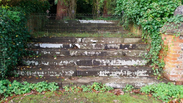 Verweerde oude stenen treden in de tuin met muur en klimop — Stockfoto