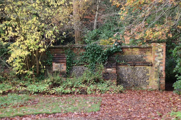 Afbeelding van zeer oude stenen en bakstenen muur in de herfst met vergelende bomen en struiken — Stockfoto
