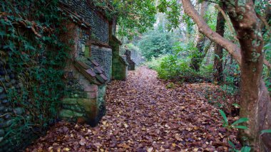Ağaçların arasından bir tarafı ağaçlarla, diğer tarafı da eski duvarlarla bak.