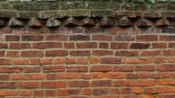 Rústico antiguo muro de ladrillo de terracota con detalle en la parte superior y ecologismo debido a la humedad —  Fotos de Stock