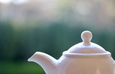 Beyaz porselenli çay ya da kahve demliği. Telif alanı olan yumuşak yeşil arka plana karşı.