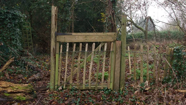 Rickety oude houten poort op het platteland in de herfst met klimop en struiken — Stockfoto