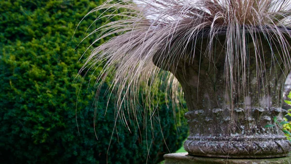 Dekoratif vazo, bitkilerden kopyalanmış otlarla doludur.