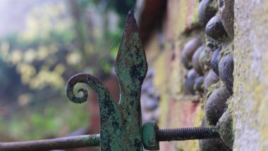 Eski duvara sabitlenmiş paslı zambak şeklinde bahçe onarımı