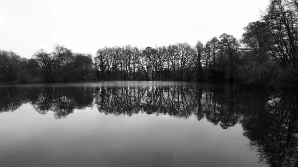 Inglese scena invernale mostrando alberi nudi riflessi nel lago ancora — Foto Stock