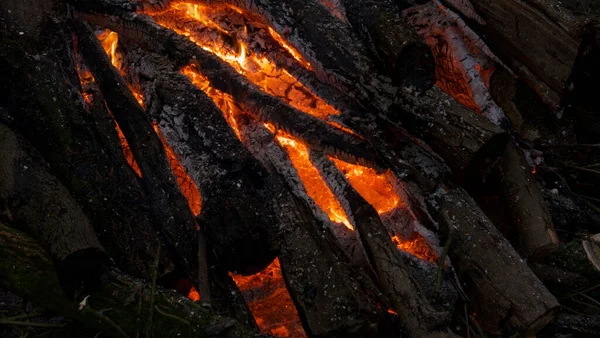 Bild av brinnande ved på brasan med orange glödande pinnar — Stockfoto