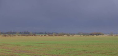 Koyu gri gökyüzü ve kopyalama alanı olan yeşil alan