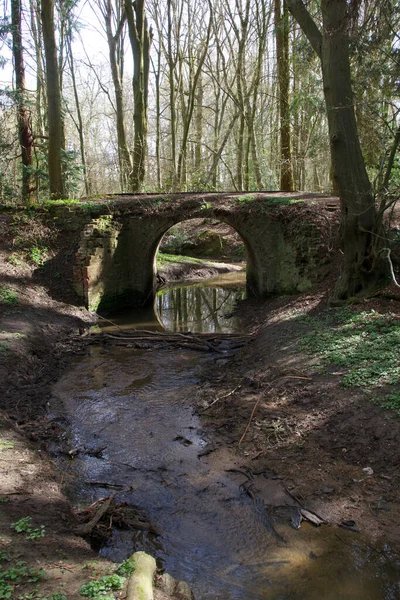 Retrato de la imagen de un arroyo que corre hacia un puente en el bosque —  Fotos de Stock