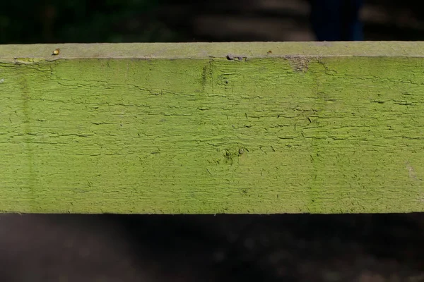 Tiszta zöld durva texturált fa háttér helyet másolni — Stock Fotó