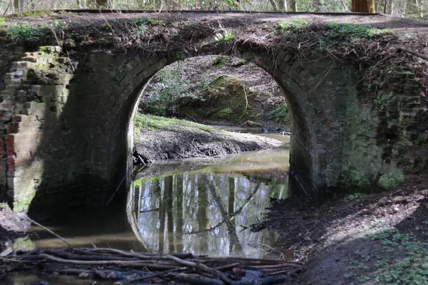 Scène de forêt montrant une rivière traversant un vieux pont construit en briques altérées — Photo