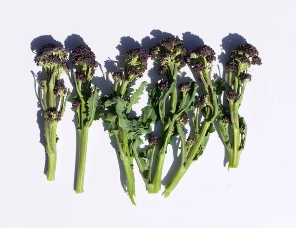 Baris tangkai brokoli tumbuh ungu terhadap latar belakang putih polos — Stok Foto