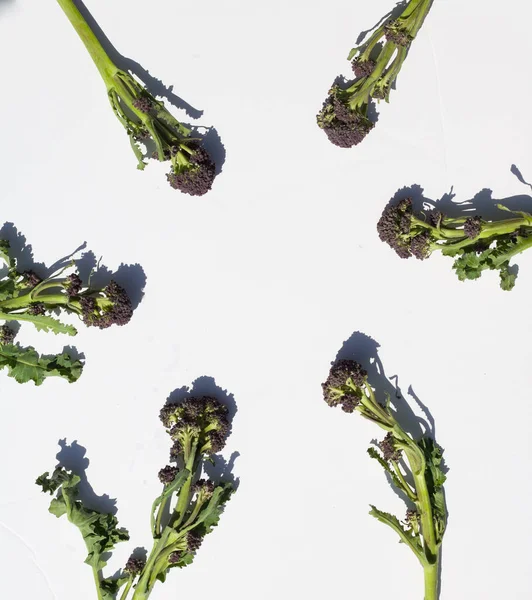 Fialové výhonky brokolice rozložené v kruhu s kopírovacím prostorem — Stock fotografie