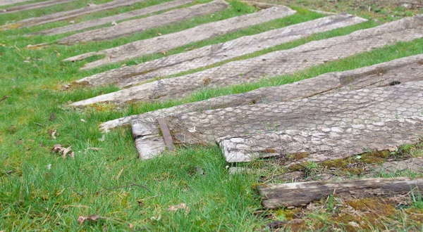 Старая деревянная дорожка на траве, покрытая куриной проволокой с копирайтом — стоковое фото