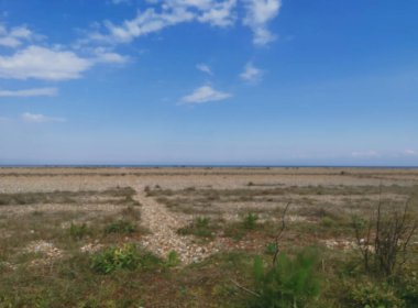 Issız bataklık, yukarıdaki mavi gökyüzü ile denize açılıyor.