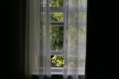 Kuşak penceresinden ve dışarıdaki yeşil bitki örtüsünün olduğu perdeden bak. Yüksek kalite fotoğraf