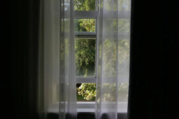 Blick Aus Dem Raum Des Flügelfensters Und Des Netzvorhangs Mit lizenzfreie Stockfotos