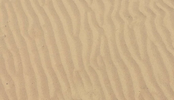 Песчаный пляж фон, показывающий рябь и тени в песке — стоковое фото