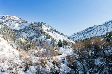 Karla kaplı farklı dağların güzel manzarası. Özbekistan 'daki Tien Shan dağ sistemi