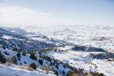 Kış dağı manzarası. Mavi gökyüzüne karşı ağaçlarla kaplı karla kaplı dağlar. Özbekistan, Tien Shan
