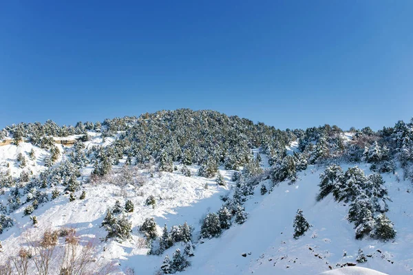 Sistema Montañoso Tian Shan Invierno Uzbekistán Invierno Día Soleado — Foto de Stock