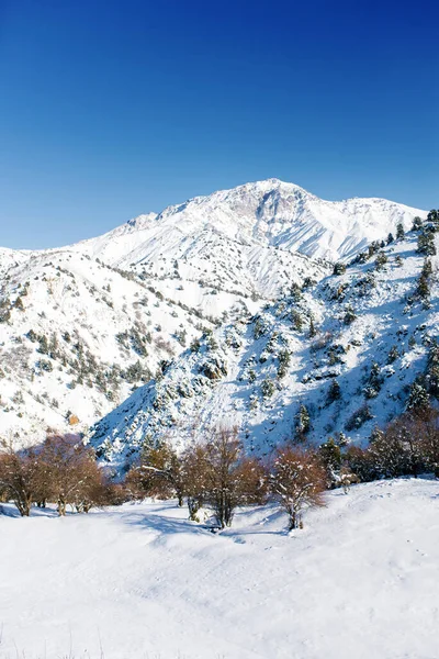 Sistema Montañoso Tian Shan Uzbekistán Paisaje Invernal Estación Esquí Beldersay — Foto de Stock