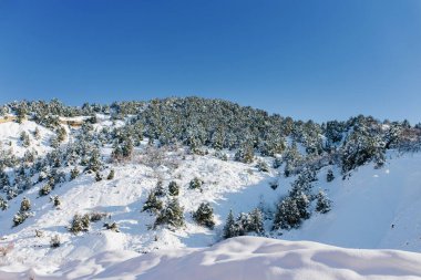 Karla kaplı farklı dağların güzel manzarası. Özbekistan 'daki Tien Shan dağ sistemi