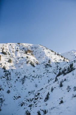Karla kaplı tepeler, kışın Özbekistan dağlarında güneşli bir günde