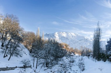 Özbekistan 'da güneşli bir günde kışın karla kaplı Chimgan dağı