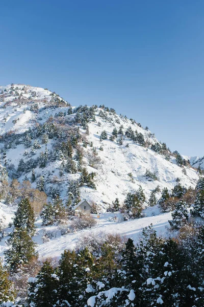 Picos Montañosos Cubiertos Nieve Donde Crece Bosque Estación Esquí Beldersay — Foto de Stock
