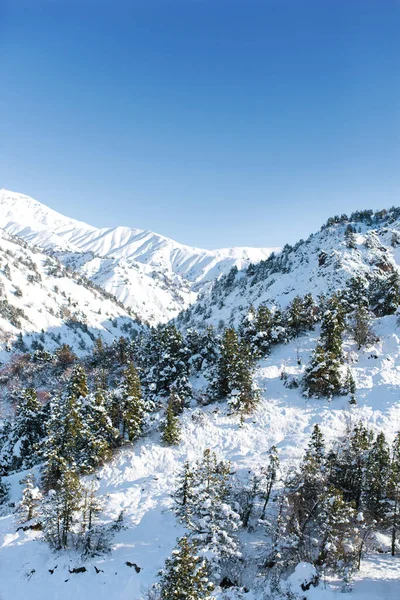 Montañas Tien Shan Uzbekistán Beldersay Estación Esquí Invierno Día Soleado — Foto de Stock