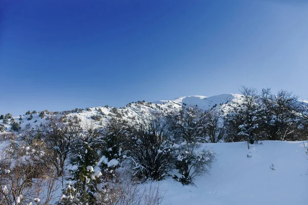 Paisaje Montañoso Invierno Árboles Nieve Las Montañas Uzbekistán — Foto de Stock