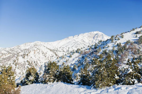 ウズベキスタンのクムベル山からの冬の山の風景 ベルダーセイ ストック画像