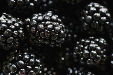 Taze organik böğürtlenlerin arka planı