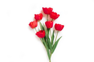 Sevgililer Günü düz taban. Beyaz arka planda güzel kırmızı lale çiçekleri..