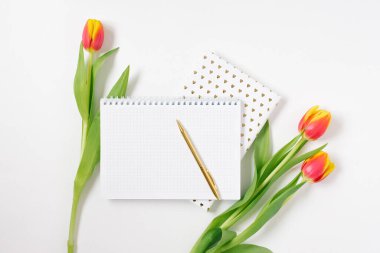 Düz ofis masası, beyaz arkaplan üzerinde minimalist stil ve metin için boş alan. Laleler ve defterler. Sevgililer Günü ve bahar için blog yazarının çalışma yeri