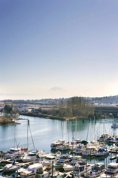 Tacoma Washington Usa Mars 2021 Puget Sound Yachts Och Rainier — Stockfoto