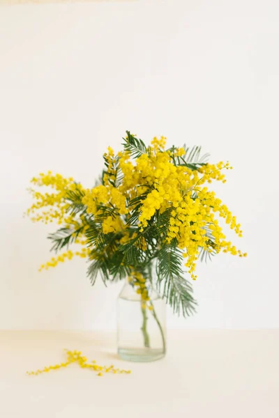 Piękny Żółty Kwiat Mimozy Szklanym Wazonie Wiosnę — Zdjęcie stockowe