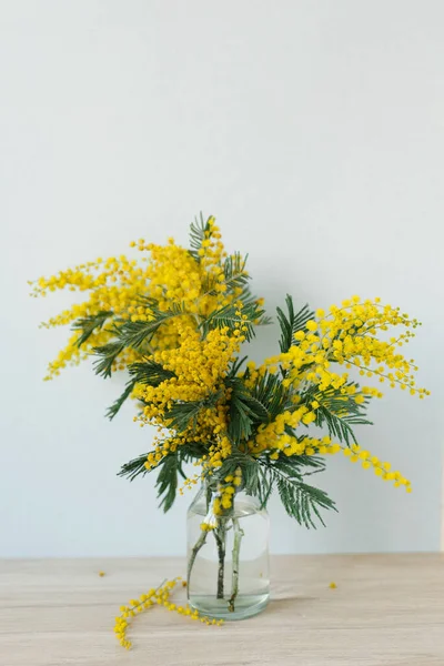 Ramo Mimosa Jarrón Sobre Fondo Pared Azul Flores Amarillas Primavera — Foto de Stock