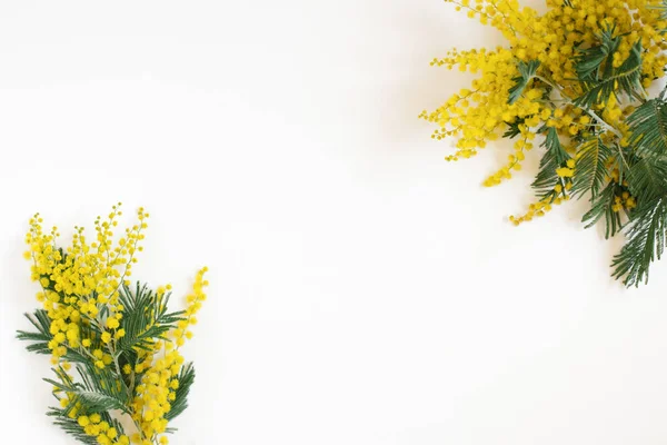 Marco Floral Ramas Mimosas Amarillas Sobre Fondo Blanco Piso Tendido — Foto de Stock