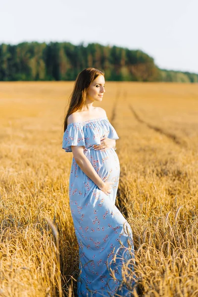Junge Schwangere Frau Blauem Kleid Entspannt Sich Draußen Der Natur — Stockfoto